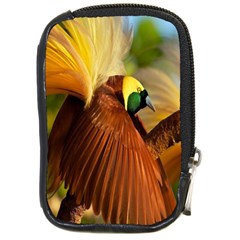 Birds Paradise Cendrawasih Compact Camera Cases by Mariart