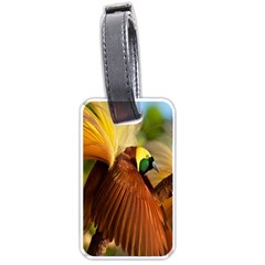 Birds Paradise Cendrawasih Luggage Tags (one Side)  by Mariart