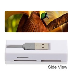 Birds Paradise Cendrawasih Memory Card Reader (stick)  by Mariart