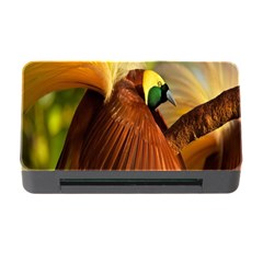 Birds Paradise Cendrawasih Memory Card Reader With Cf by Mariart