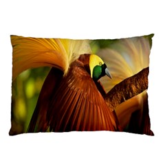 Birds Paradise Cendrawasih Pillow Case (two Sides) by Mariart