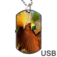 Birds Paradise Cendrawasih Dog Tag Usb Flash (two Sides)