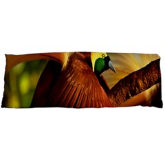 Birds Paradise Cendrawasih Body Pillow Case (dakimakura) by Mariart