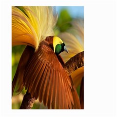 Birds Paradise Cendrawasih Large Garden Flag (two Sides) by Mariart