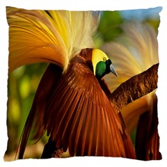 Birds Paradise Cendrawasih Large Cushion Case (one Side)