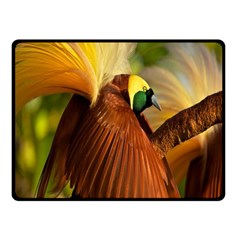 Birds Paradise Cendrawasih Double Sided Fleece Blanket (small)  by Mariart