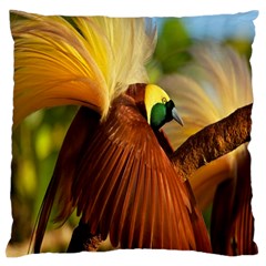 Birds Paradise Cendrawasih Standard Flano Cushion Case (two Sides)