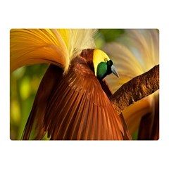 Birds Paradise Cendrawasih Double Sided Flano Blanket (mini)  by Mariart