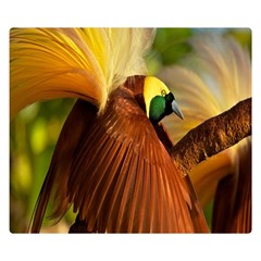 Birds Paradise Cendrawasih Double Sided Flano Blanket (small)  by Mariart