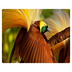 Birds Paradise Cendrawasih Double Sided Flano Blanket (medium)  by Mariart