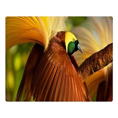 Birds Paradise Cendrawasih Double Sided Flano Blanket (large)  by Mariart