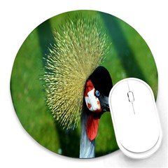 Bird Hairstyle Animals Sexy Beauty Round Mousepads