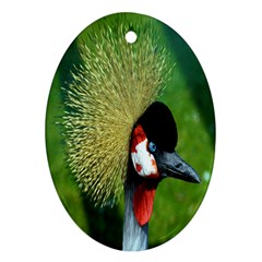 Bird Hairstyle Animals Sexy Beauty Ornament (oval) by Mariart