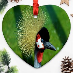 Bird Hairstyle Animals Sexy Beauty Ornament (heart)