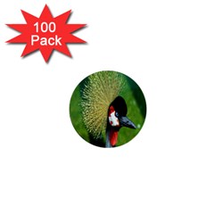 Bird Hairstyle Animals Sexy Beauty 1  Mini Buttons (100 Pack) 