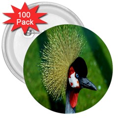 Bird Hairstyle Animals Sexy Beauty 3  Buttons (100 Pack)  by Mariart