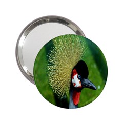 Bird Hairstyle Animals Sexy Beauty 2 25  Handbag Mirrors by Mariart