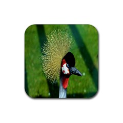 Bird Hairstyle Animals Sexy Beauty Rubber Coaster (square)  by Mariart