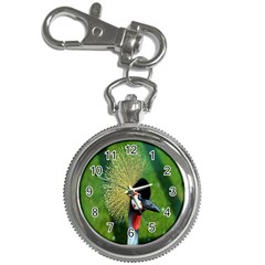 Bird Hairstyle Animals Sexy Beauty Key Chain Watches by Mariart