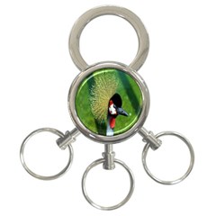 Bird Hairstyle Animals Sexy Beauty 3-ring Key Chains by Mariart