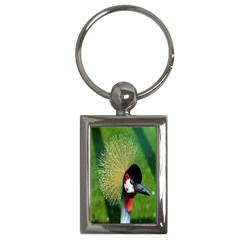 Bird Hairstyle Animals Sexy Beauty Key Chains (rectangle)  by Mariart