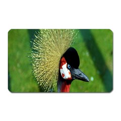 Bird Hairstyle Animals Sexy Beauty Magnet (rectangular) by Mariart