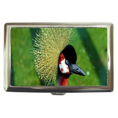 Bird Hairstyle Animals Sexy Beauty Cigarette Money Cases