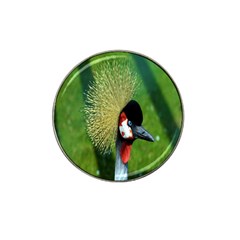 Bird Hairstyle Animals Sexy Beauty Hat Clip Ball Marker