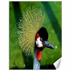 Bird Hairstyle Animals Sexy Beauty Canvas 18  X 24   by Mariart