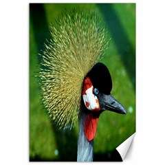 Bird Hairstyle Animals Sexy Beauty Canvas 24  X 36  by Mariart