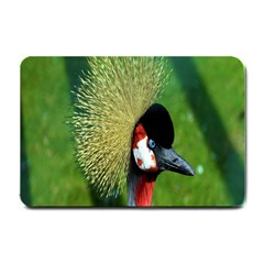 Bird Hairstyle Animals Sexy Beauty Small Doormat  by Mariart