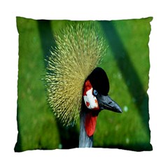 Bird Hairstyle Animals Sexy Beauty Standard Cushion Case (one Side) by Mariart