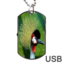 Bird Hairstyle Animals Sexy Beauty Dog Tag Usb Flash (two Sides) by Mariart