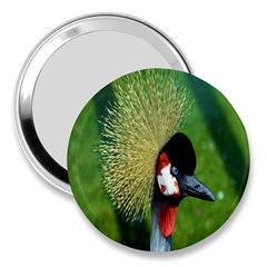 Bird Hairstyle Animals Sexy Beauty 3  Handbag Mirrors by Mariart