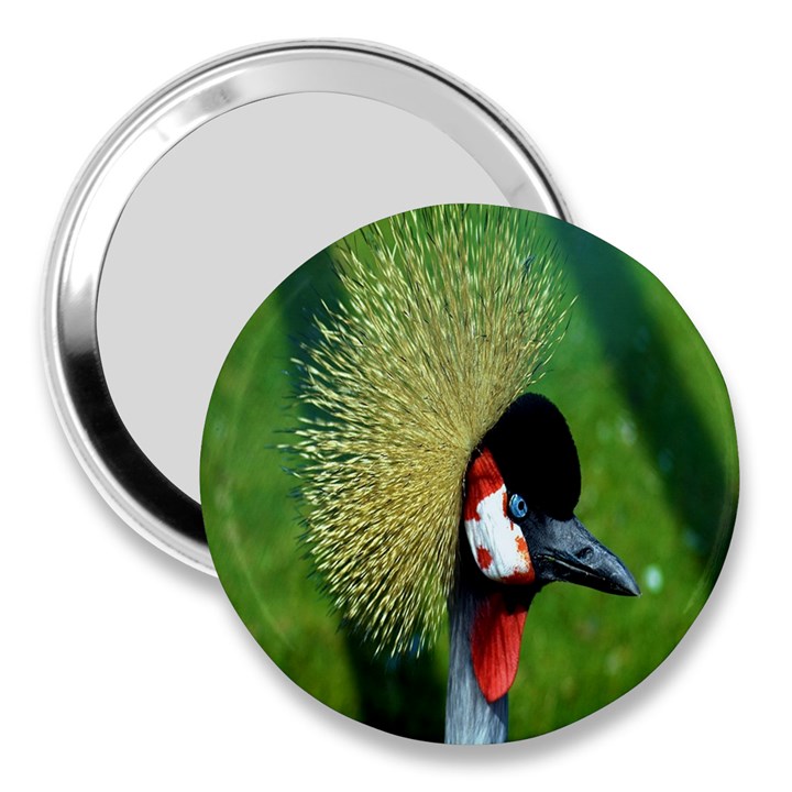 Bird Hairstyle Animals Sexy Beauty 3  Handbag Mirrors