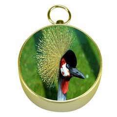 Bird Hairstyle Animals Sexy Beauty Gold Compasses