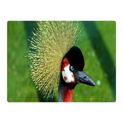 Bird Hairstyle Animals Sexy Beauty Double Sided Flano Blanket (mini)  by Mariart