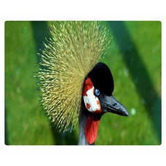 Bird Hairstyle Animals Sexy Beauty Double Sided Flano Blanket (medium)  by Mariart