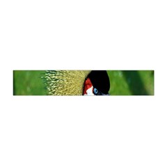 Bird Hairstyle Animals Sexy Beauty Flano Scarf (mini) by Mariart