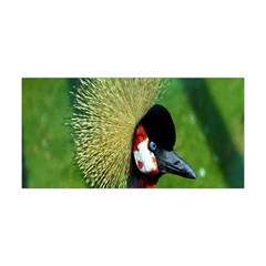 Bird Hairstyle Animals Sexy Beauty Yoga Headband by Mariart