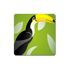 Cute Toucan Bird Cartoon Fly Yellow Green Black Animals Square Magnet