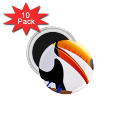 Cute Toucan Bird Cartoon Fly 1 75  Magnets (10 Pack)  by Mariart