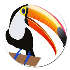 Cute Toucan Bird Cartoon Fly Magnet 5  (round)