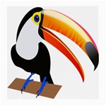 Cute Toucan Bird Cartoon Fly Medium Glasses Cloth (2-Side) Front