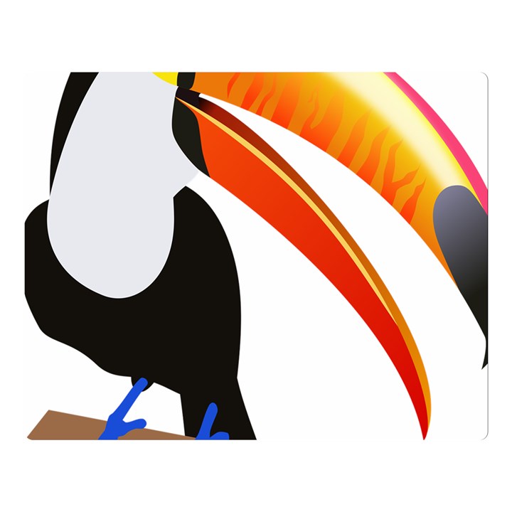 Cute Toucan Bird Cartoon Fly Double Sided Flano Blanket (Large) 