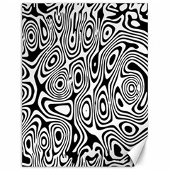 Psychedelic Zebra Black White Canvas 12  X 16  