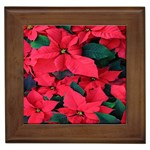 Red Poinsettia Flower Framed Tiles Front