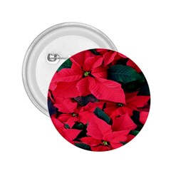 Red Poinsettia Flower 2 25  Buttons