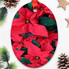 Red Poinsettia Flower Ornament (oval) by Mariart