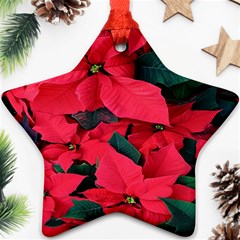 Red Poinsettia Flower Ornament (star) by Mariart